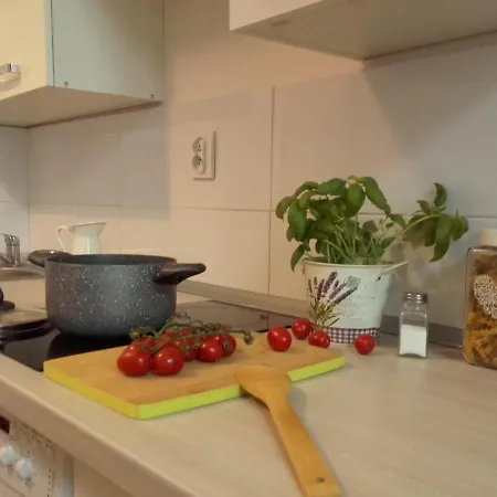 Mini Pomorska Daire Łódź