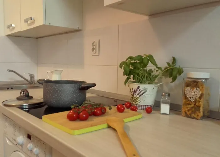 Mini Pomorska Daire Łódź